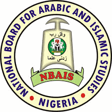 NBAIS Pin